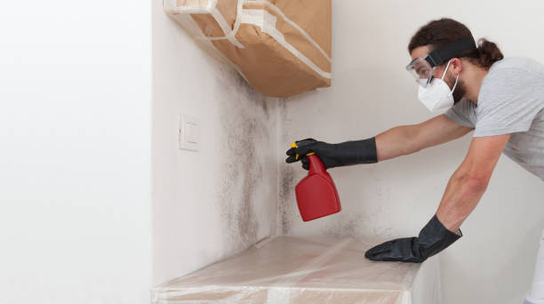 Professional Crawl Space Mold Removal technician working in Boon, MI